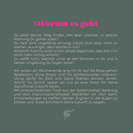 Workshop Systemische Berufsberatung Mediation Therapie Antonia Speerforck Leipzig